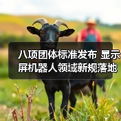 八项团体标准发布 显示屏机器人领域新规落地(图2) 八项团体标准发布 显示屏机器人领域新规落地(图2)