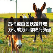 黄桶至百色铁路开建,为何成为西部陆海新通道关键一环?(图1) 黄桶至百色铁路开建,为何成为西部陆海新通道关键一环?(图1)