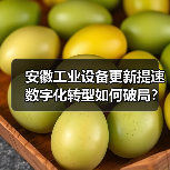 安徽工业设备更新提速 数字化转型如何破局？（图4）