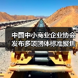 中国中小商业企业协会发布多项团体标准聚焦智能照明与物联网应用（图1）