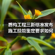 盾构工程三新标准发布 施工技能鉴定要求如何解读（图1）