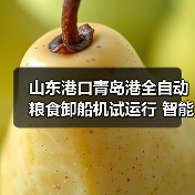 山东港口青岛港全自动粮食卸船机试运行 智能化升级引关注(图2) 山东港口青岛港全自动粮食卸船机试运行 智能化升级引关注(图2)
