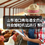 山东港口青岛港全自动粮食卸船机试运行 智能化升级引关注(图4) 山东港口青岛港全自动粮食卸船机试运行 智能化升级引关注(图4)