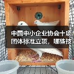 中国中小企业协会十项团体标准立项，哪些技术规程值得关注？（图2）