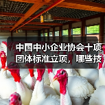 中国中小企业协会十项团体标准立项，哪些技术规程值得关注？（图1）
