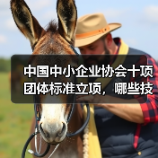 中国中小企业协会十项团体标准立项，哪些技术规程值得关注？（图4）