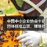中国中小企业协会十项团体标准立项，哪些技术规程值得关注？（图3）