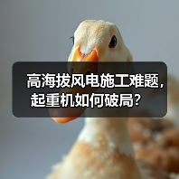 高海拔风电施工难题，起重机如何破局？（图2）