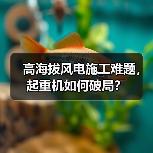高海拔风电施工难题，起重机如何破局？（图3）