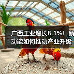 广西工业增长8.1%!新动能如何推动产业升级?(图2) 广西工业增长8.1%!新动能如何推动产业升级?(图2)