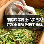 甲醇汽车起重机实测25吨起重量绿色施工新标杆(图1) 甲醇汽车起重机实测25吨起重量绿色施工新标杆(图1)