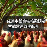 成渝中线高铁箱梁预制智能建造效率跃升(图2) 成渝中线高铁箱梁预制智能建造效率跃升(图2)