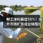 柳工净利暴增58%!海外市场扩张成业绩增长密码?(图3) 柳工净利暴增58%!海外市场扩张成业绩增长密码?(图3)