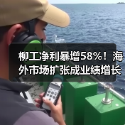 柳工净利暴增58%!海外市场扩张成业绩增长密码?(图4) 柳工净利暴增58%!海外市场扩张成业绩增长密码?(图4)