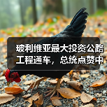 玻利维亚最大投资公路工程通车，总统点赞中玻合作成果（图4）