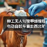 柳工无人驾驶甲醇增程电动自卸车首赴西北矿区,引领绿色智慧矿山新趋势(图3) 柳工无人驾驶甲醇增程电动自卸车首赴西北矿区,引领绿色智慧矿山新趋势(图3)