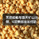 黑烟船舶与露天矿山治理，6项新标准如何助力环保？（图4）