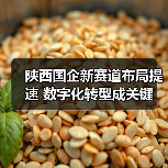 陕西国企新赛道布局提速 数字化转型成关键（图3）
