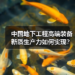中国地下工程高端装备新质生产力如何实现？三大核心路径解析（图1）