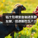 链主引领装备制造集群发展，锻造新质生产力（图4）