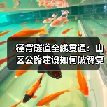 径背隧道全线贯通：山区公路建设如何破解复杂挑战？（图1）