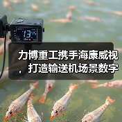 力博重工携手海康威视,打造输送机场景数字化新标杆(图4) 力博重工携手海康威视,打造输送机场景数字化新标杆(图4)