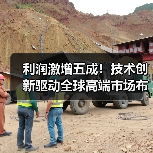 利润激增五成!技术创新驱动全球高端市场布局(图3) 利润激增五成!技术创新驱动全球高端市场布局(图3)