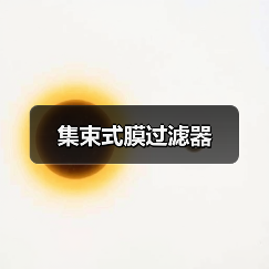 集束式膜过滤器(图1) 集束式膜过滤器(图1)