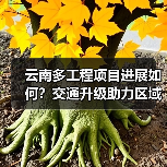 云南多工程项目进展如何?交通升级助力区域发展(图2) 云南多工程项目进展如何?交通升级助力区域发展(图2)