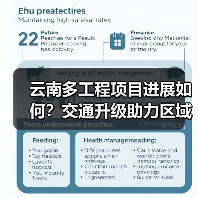 云南多工程项目进展如何?交通升级助力区域发展(图4) 云南多工程项目进展如何?交通升级助力区域发展(图4)