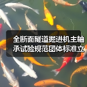 全断面隧道掘进机主轴承试验规范团体标准立项获批(图3) 全断面隧道掘进机主轴承试验规范团体标准立项获批(图3)