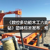 《数控多功能木工六面钻》团体标准发布,规范行业技术参数(图4) 《数控多功能木工六面钻》团体标准发布,规范行业技术参数(图4)