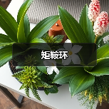 矩鞍环(图4) 矩鞍环(图4)