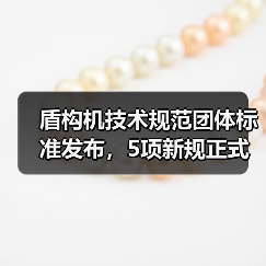 盾构机技术规范团体标准发布,5项新规正式实施(图4) 盾构机技术规范团体标准发布,5项新规正式实施(图4)