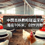 中国高铁盾构隧道深潜海底106米,创世界新纪录(图4) 中国高铁盾构隧道深潜海底106米,创世界新纪录(图4)
