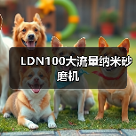 LDN100大流量纳米砂磨机(图1) LDN100大流量纳米砂磨机(图1)