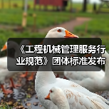 《工程机械管理服务行业规范》团体标准发布，推动行业规范化管理（图1）