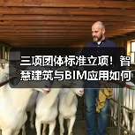 三项团体标准立项！智慧建筑与BIM应用如何推动行业数字化？（图2）