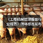《工程机械管理服务行业规范》团体标准发布，推动行业规范化管理（图4）