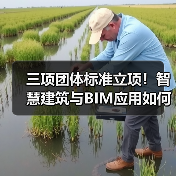 三项团体标准立项！智慧建筑与BIM应用如何推动行业数字化？（图3）