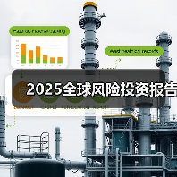 2025全球风险投资报告(图2) 2025全球风险投资报告(图2)