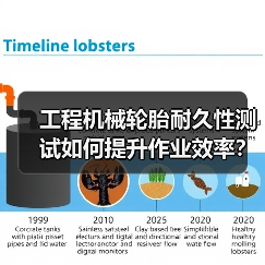 工程机械轮胎耐久性测试如何提升作业效率?关键技巧解析(图4) 工程机械轮胎耐久性测试如何提升作业效率?关键技巧解析(图4)