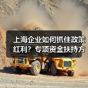 上海企业如何抓住政策红利？专项资金扶持方向全解析（图1）
