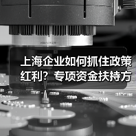 上海企业如何抓住政策红利？专项资金扶持方向全解析（图4）