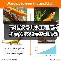 环北部湾供水工程盾构机始发破解复杂地质难题(图4) 环北部湾供水工程盾构机始发破解复杂地质难题(图4)