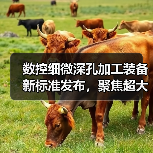 数控细微深孔加工装备新标准发布，聚焦超大深径比孔加工设备（图4）