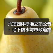 六项团体标准立项公告:地下防水与市政道路施工规范获批(图1) 六项团体标准立项公告:地下防水与市政道路施工规范获批(图1)