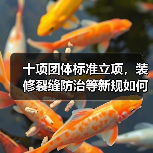 十项团体标准立项,装修裂缝防治等新规如何影响行业?(图4) 十项团体标准立项,装修裂缝防治等新规如何影响行业?(图4)