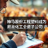 神马股份工程塑料成为尼龙化工全资子公司 产业布局如何优化（图2）