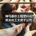 神马股份工程塑料成为尼龙化工全资子公司 产业布局如何优化（图3）
